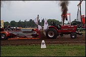 169.jpg
