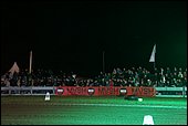 208.jpg