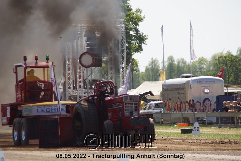138.jpg