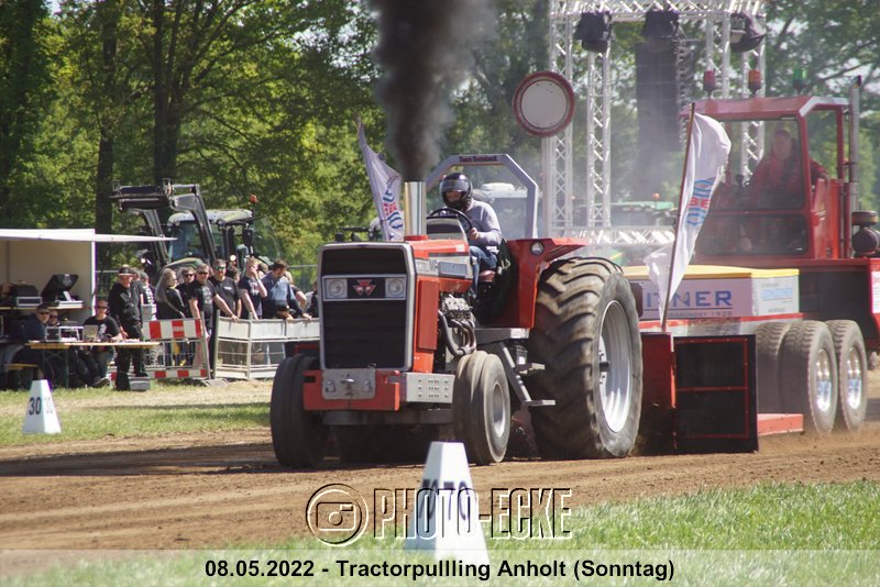 175.jpg
