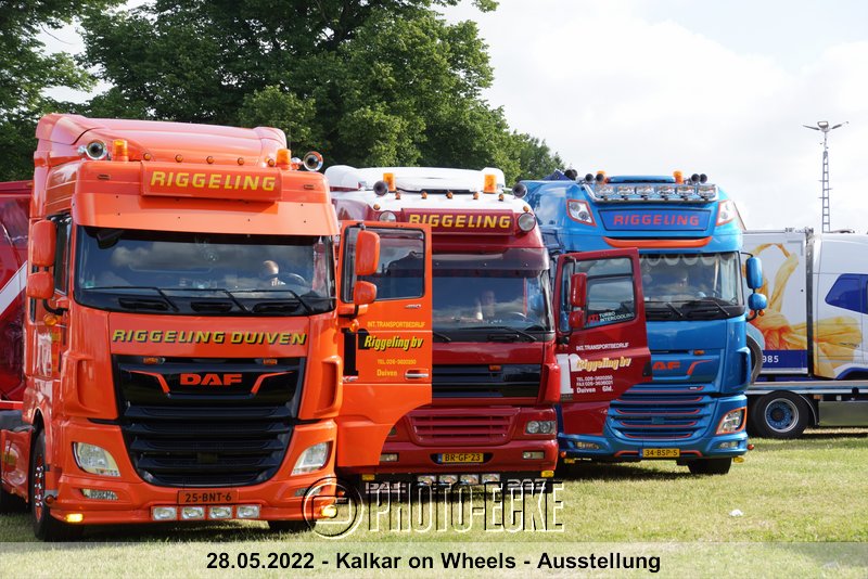 006.jpg